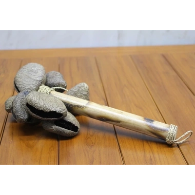 Coconat Sarkaçli Marakas Dıarta:2