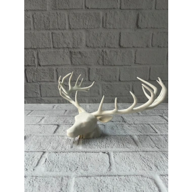 Dekoratif Geyik Başı Heykel 25 cm Modern Minimal Tasarım