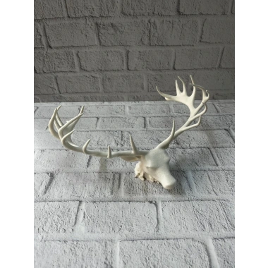 Dekoratif Geyik Başı Heykel 25 cm Modern Minimal Tasarım