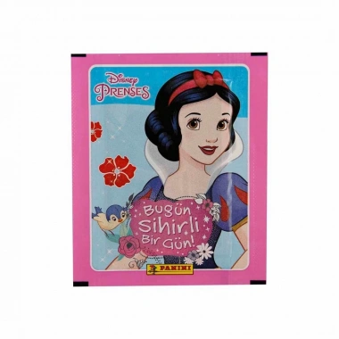 Disney Princess Çıkartma Kartları