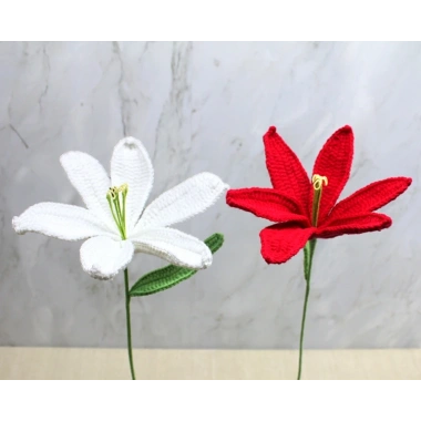 El Örgüsü Zambak Çiçeği