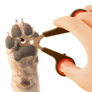 Evcil Hayvan Tırnak Makası Ve Törpü Seti Manikür Pedikür Pati Bakım Aleti Kaymaz Sap (5468)