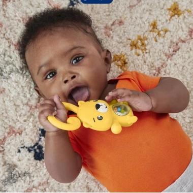 Fisher Price Eğlenceli Dostlar Çıngıraklı Dişlik HJW11-HKD71