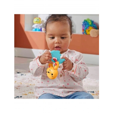 Fisher Price Eğlenceli Dostlar Çıngıraklı Dişlik - Su Samuru HJW11-HKD69