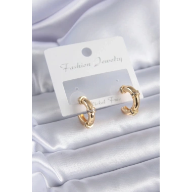 Gold Renk Zirkon Taş Detay Halka Model Pirinç Kadın Küpe