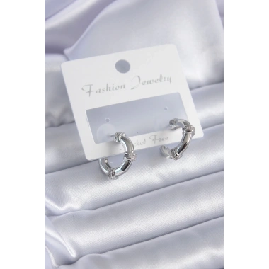 Gümüş Renk Zirkon Taşlı Halka Model Pirinç Kadın Küpe