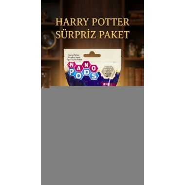 Harry Potter Koleksiyon Figür Seti 2li - Sürpriz Temalı Oyuncak