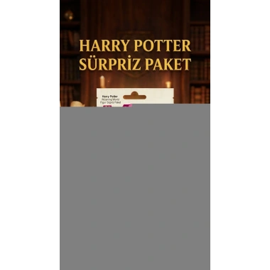 Harry Potter Koleksiyon Figür Sürpriz Paket Oyuncak 1 Adet