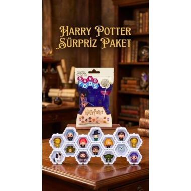 Harry Potter Koleksiyon Sürpriz Figür Seti Ünlü Karakterler