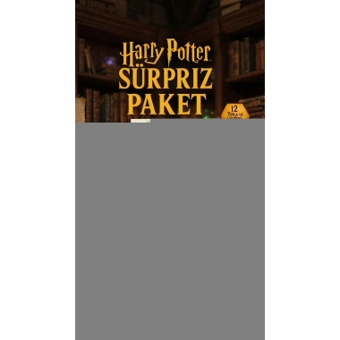 Harry Potter Sürpriz Figür Koleksiyonu Kutu Oyuncak