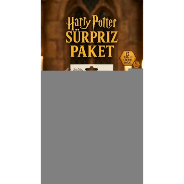 Harry Potter Sürpriz Figür Oyuncak Koleksiyon Kutusu