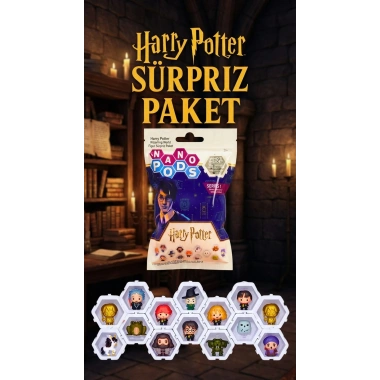 Harry Potter Sürpriz Figür Seti Çocuklar ve Koleksiyonerler İçin 2 Adet