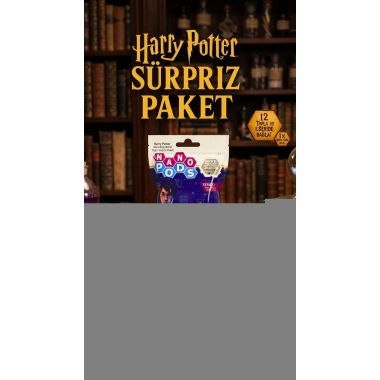 Harry Potter Temalı Koleksiyonluk Sürpriz Figür Seti 2li Paket