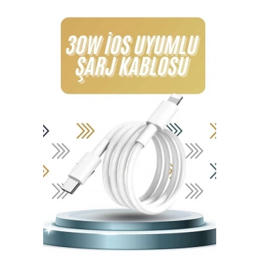 IOS Tüm Serilerle Uyumlu 30W Hızlı Şarj Aleti 11 12 13 14/Pro Max Mini Plus