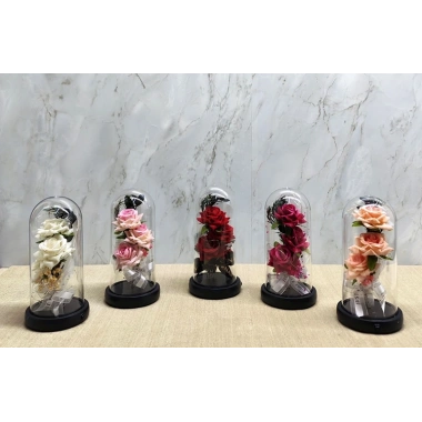 Işıklı Müzikli Cam Fanus İçinde Romantik Gül