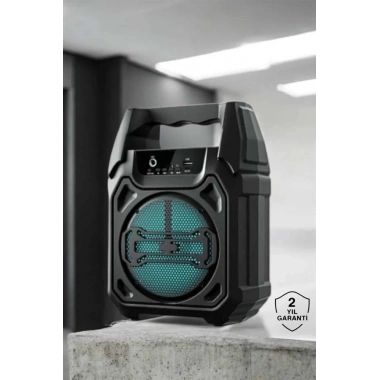 Kablosuz 6.5 İnç TWS Bluetooth Hoparlör