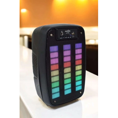 Kablosuz Bluetooth Hoparlör Taşınabilir 6.5 inç LED Işık Kareoke