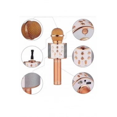 Karaoke Mikrofon Dahili Hoparlörlü Sd-usb-aux Girişli Bluetooth Hoparlör