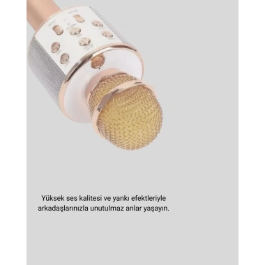 Karaoke Mikrofonu Bluetooth USB AUX Girişli Yankı Efektli