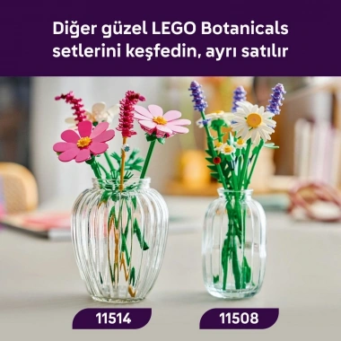 LEGO Botanicals Kozmos Çiçekleri 11514