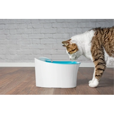 Otomatik Uyarılı Kedi Köpek Su Kabı