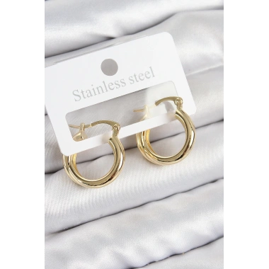 Pirinç Halka Model Gold Renk Kadın Küpe