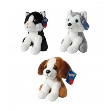 PL50114 15 CM ASORTİ - HLY