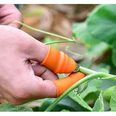 Pratik Baş Parmak Sebze Kesme Ayıklayıcı Bayan M Set