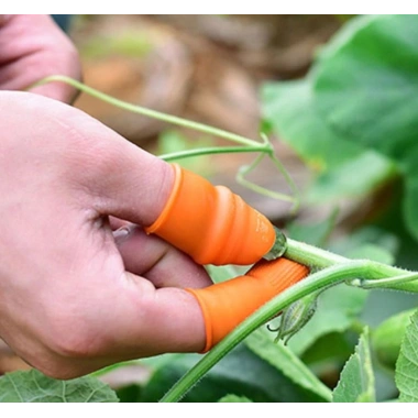 Pratik Baş Parmak Sebze Kesme Ayıklayıcı Bayan M Set (5468)