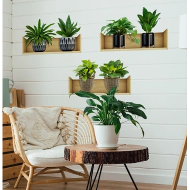 Raflı Bitki Tasarımlı Yapışkanlı Sticker 20*30 cm 3lü Set (5468)