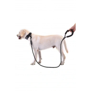 Reflektörlü Köpek Tasması 130 Cm.