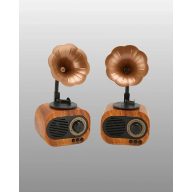 Retro Tasarımlı Mini Bluetooth Hoparlör ve FM Radyo Çoklu Medya