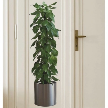 Saksılı Bitki Tasarımlı Yapışkanlı Sticker Resim 90*30 cm (5468)