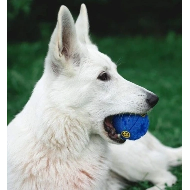 SESLI MAMA OYUN TOPU