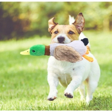 Sesli Ördek Şekilli Peluş Köpek Oyuncağı