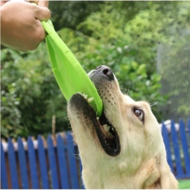 Silikon Frizbi Köpek Oyuncağı