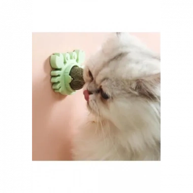 Yengeç Kedi Otu Oyun Topu