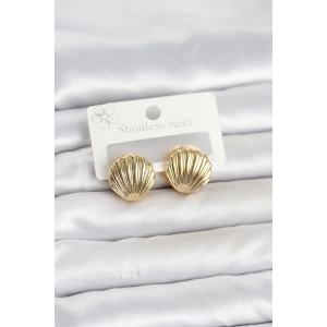 316L Çelik Gold Renk Deniz Kabuğu Model Kadın Küpe