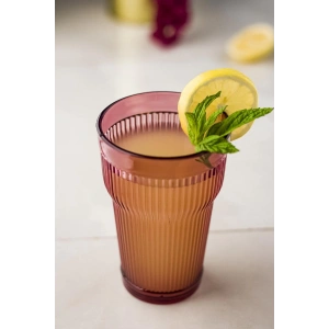 Akrilik Mürdüm 6lı Uzun Bardak & Su Meşrubat Bardağı 400 ml ( Cam Değildir )