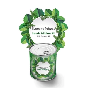 BiiShe® Konserve Bahçem Evde Konservede Dereotu Yetiştirme Kiti Aparatı
