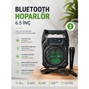 Bluetooth Hoparlör Mikrofonlu Taşınabilir Ses Sistemi FM Radyo, USB, SD Kart ve TWS Özellikli