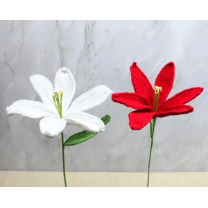 El Örgüsü Zambak Çiçeği