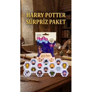 Harry Potter Figür Sürpriz Oyuncak Koleksiyon Seti