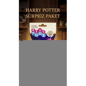 Harry Potter Koleksiyon Figür Seti 2li - Sürpriz Temalı Oyuncak