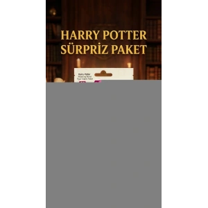 Harry Potter Koleksiyon Figür Sürpriz Paket Oyuncak 1 Adet