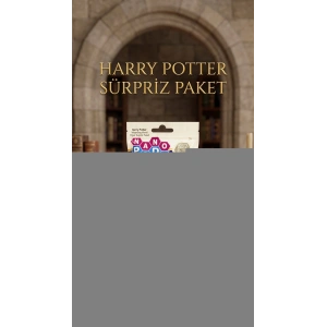 Harry Potter Koleksiyon Sürpriz Figür Oyuncak Seti