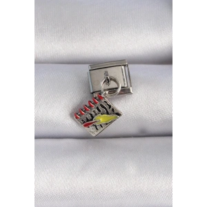 Mey İthalat® 316L Çelik Gümüş Renk Sallantı Defter Figür Nomination Charm