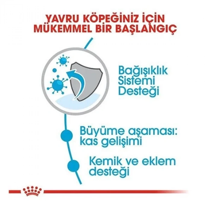 Royal Canin Giant Junior Dev Irk Yavru Köpek Maması 15 Kg