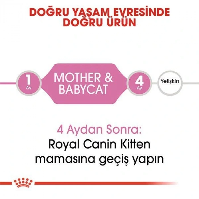 Royal Canin Mother Babycat Anne ve Yavru Kedi Maması 2 Kg