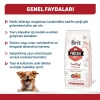 Brit Fresh Sığır Etli ve Balkabaklı Yavru Köpek Maması 12 Kg